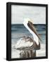Essential Black