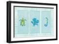 Black Frame