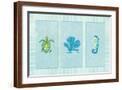 Brown Frame