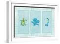 White Frame