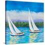 Stretched Canvas