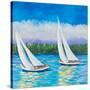 Stretched Canvas