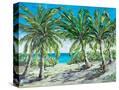 Stretched Canvas