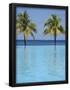 Essential Black