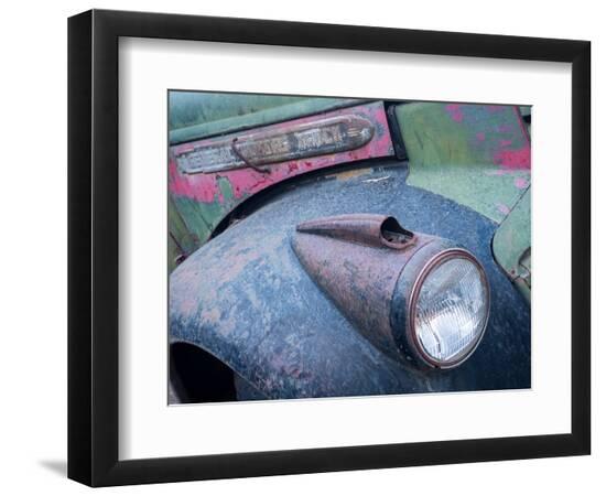 Premium Photographic Print, , large