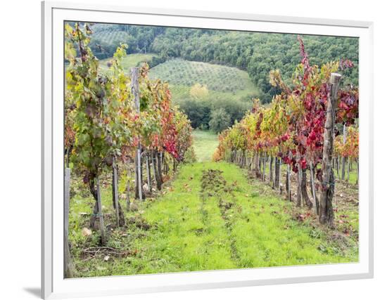 Framed Photographic Print, , large