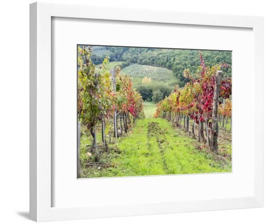 Framed Photographic Print, , large