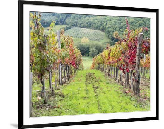 Framed Photographic Print, , large