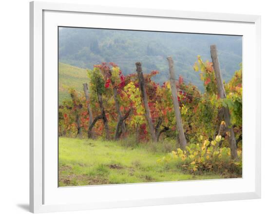 Framed Photographic Print, , large