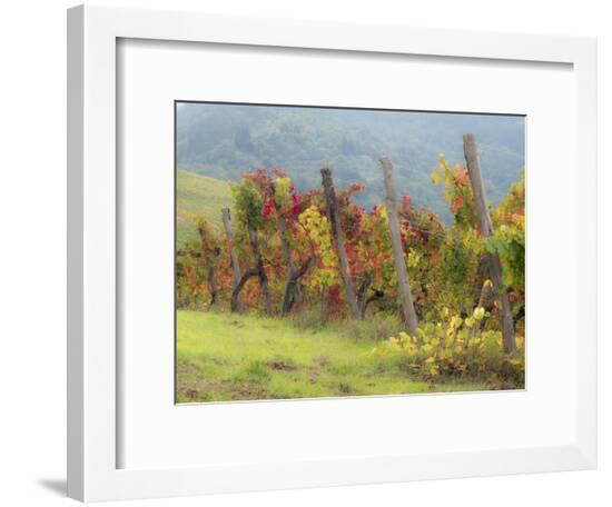 Framed Photographic Print, , large