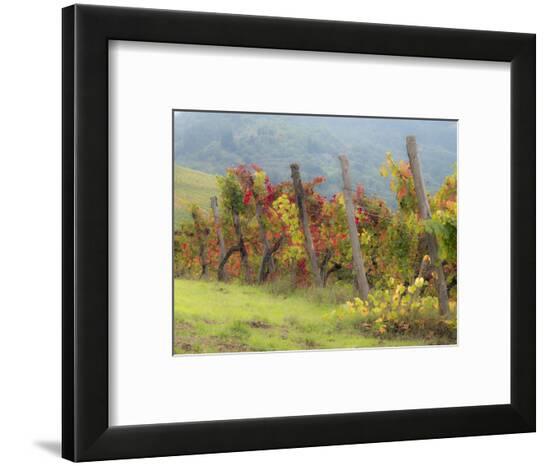 Framed Photographic Print, , large