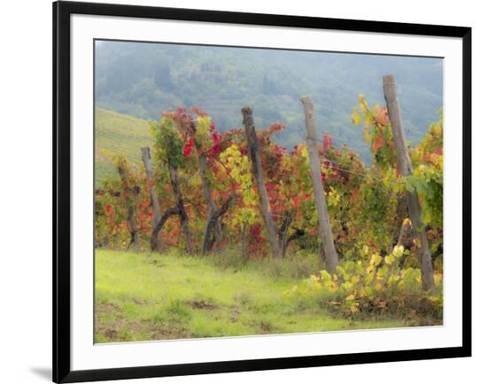 Framed Photographic Print, , large