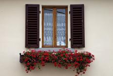 Italy, Radda in Chianti. Flower boxes with red geraniums below a window with shutters.-Julie Eggers-Photographic Print