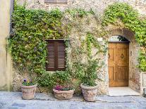 Italy, Tuscany, San Gimignano. Red hibiscus flower in a pot on the doorstep of a home-Julie Eggers-Photographic Print