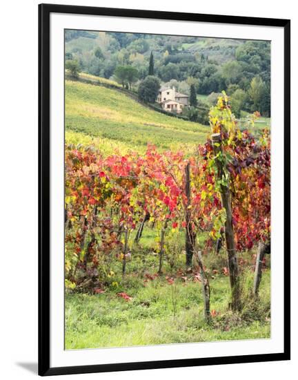 Framed Photographic Print, , large