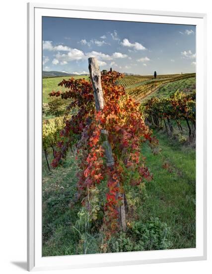 Framed Photographic Print, , large