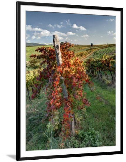 Framed Photographic Print, , large