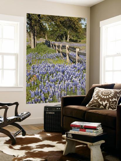 Giant Art Print, , large