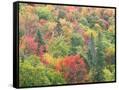 Canvas Black