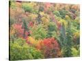 Stretched Canvas