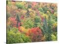 Stretched Canvas