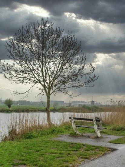 Photographic Print, , large