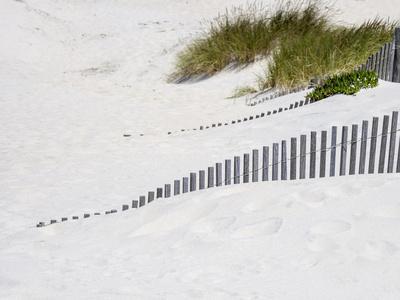 Portugal, Costa Nova. Beach grass, sand and old fence line at the beach resort of Costa Nova