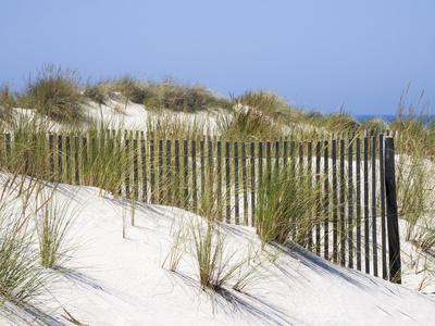 Portugal, Costa Nova. Beach grass, sand and old fence line at the beach resort of Costa Nova