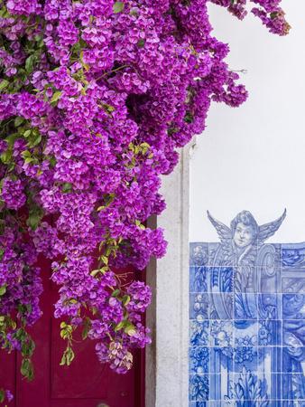 Portugal, Lisbon. Pink flowers of Bougainvillea plant and historical building