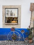 Portugal, Obidos. Pink hydrangea in terracotta pot next to a green door.-Julie Eggers-Photographic Print