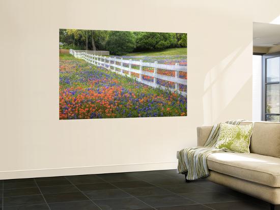 Giant Art Print, , large