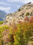USA, Utah. Fall color with aspens along Logan Canyon.-Julie Eggers-Photographic Print