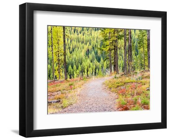 Premium Photographic Print, , large