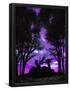 Essential Black