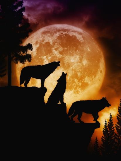 Art Print, , large