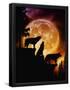 Essential Black