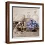 Brown Frame
