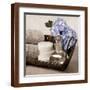 Brown Frame