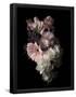 Essential Black