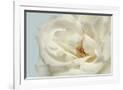 Gramercy White