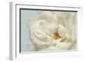White Frame