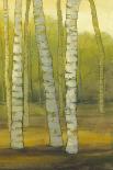 Sunny Birch Grove I-Julie Joy-Art Print