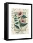 Framed Canvas