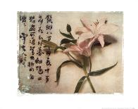 Oriental Lily-Julie Nightingale-Art Print