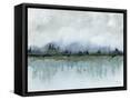 Framed Canvas