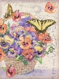 Pansies Folio-Julie Paton-Art Print