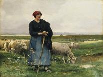 A Shepherdess with Her Flock-Julien Dupre-Giclee Print