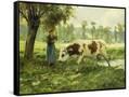 Canvas Black