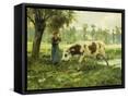 Canvas Black