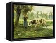 Canvas Black